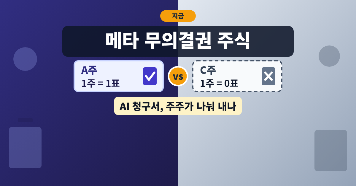 메타 무의결권 주식 클래스 C와 의결권 있는 A주를 비교한 그림